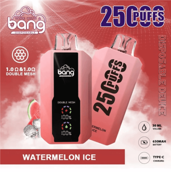 Bang B10 25K Puffs Portable E-Cigarettes - Image 10