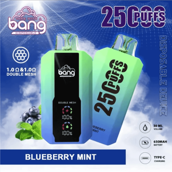 Bang B10 25K Puffs Portable E-Cigarettes - Image 9