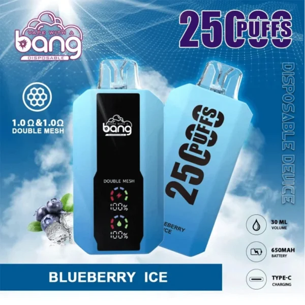 Bang B10 25K Puffs Portable E-Cigarettes