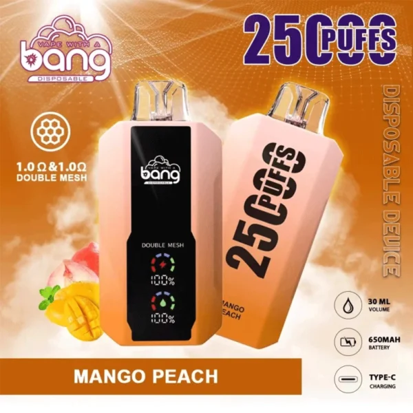 Bang B10 25K Puffs Portable E-Cigarettes - Image 5