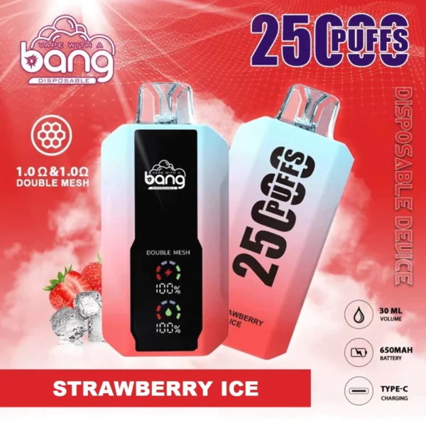 Bang B10 25K Puffs Portable E-Cigarettes - Image 6